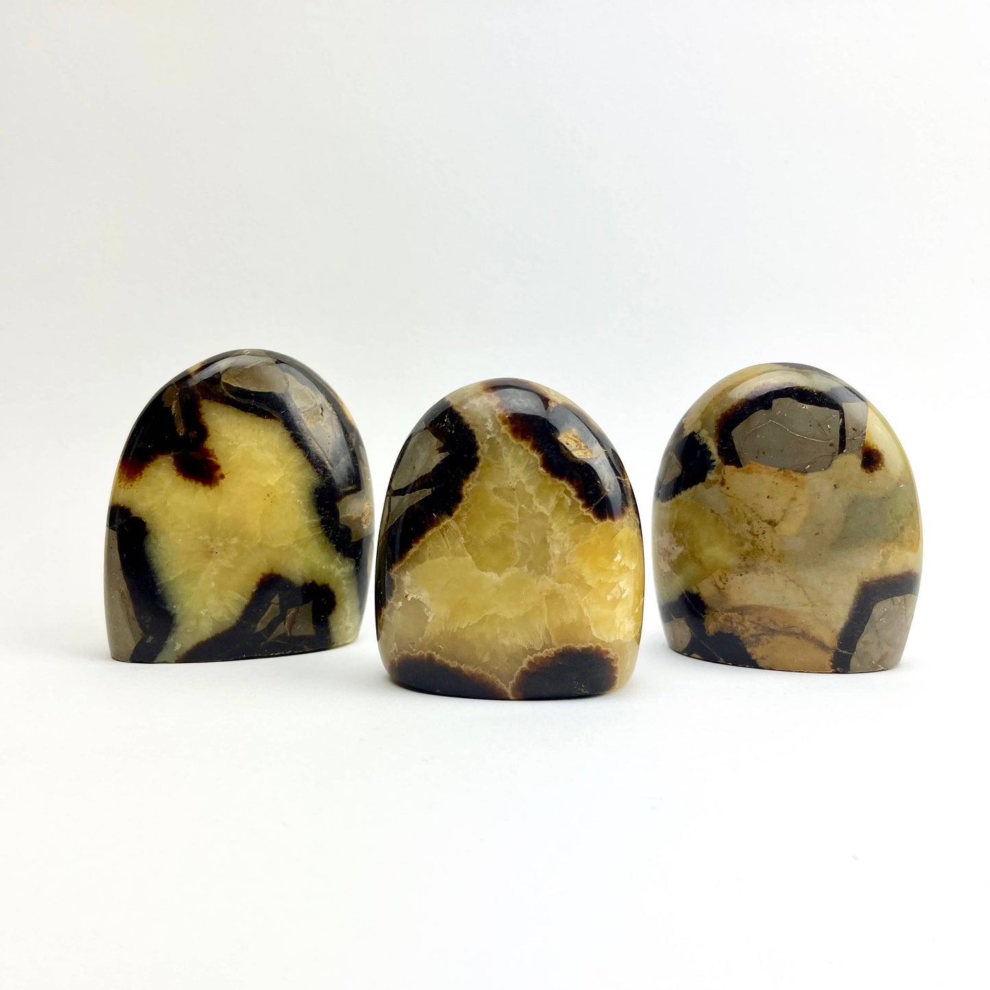 Septarian "Dragon Stone" Freeform