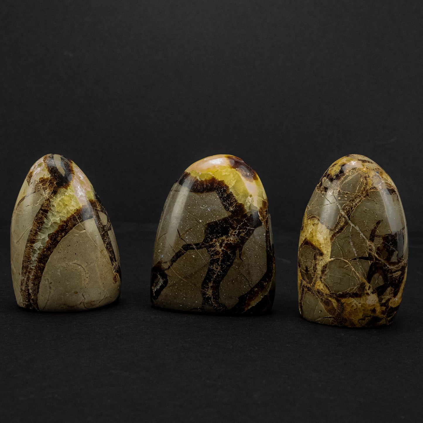 Septarian "Dragon Stone" Freeform