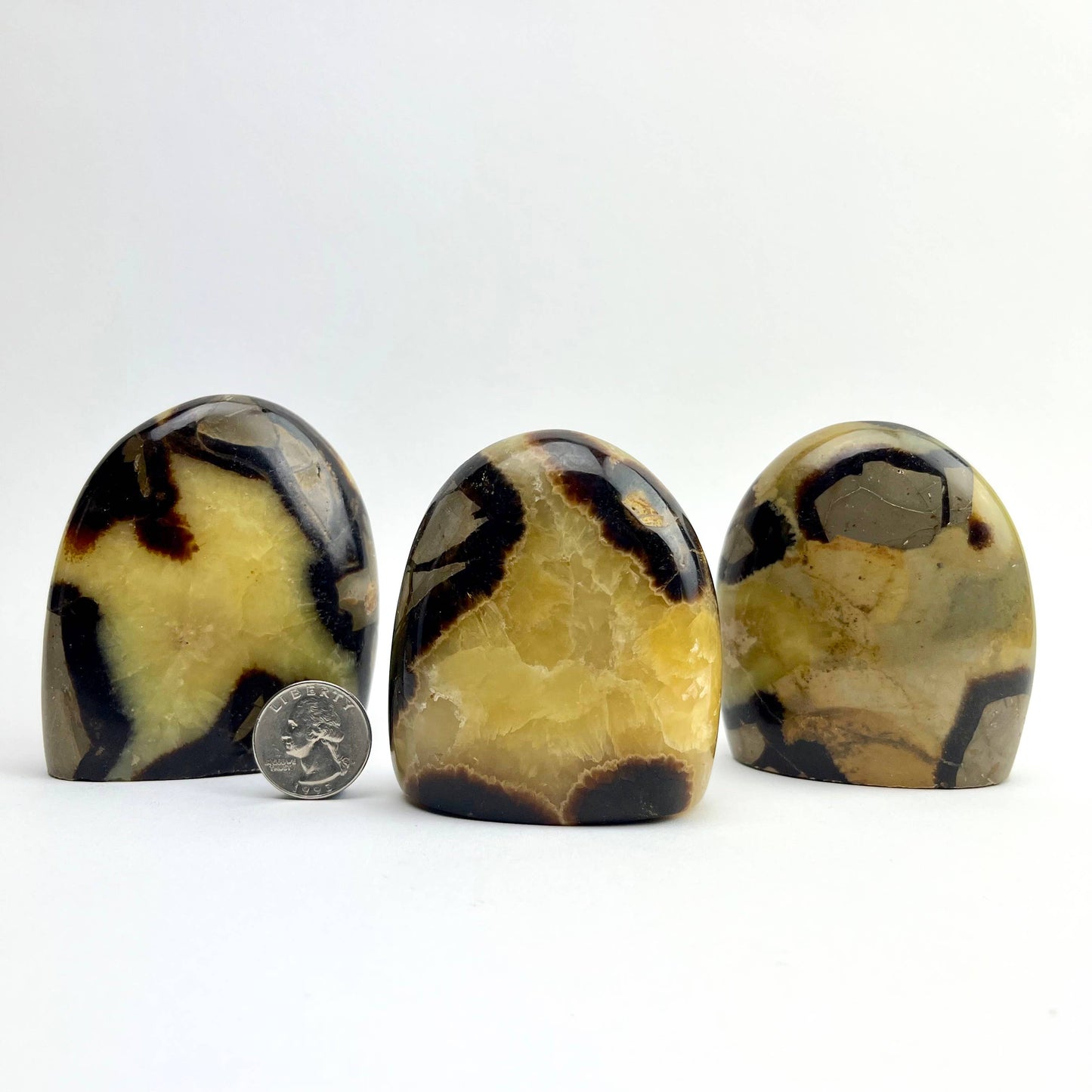 Septarian "Dragon Stone" Freeform