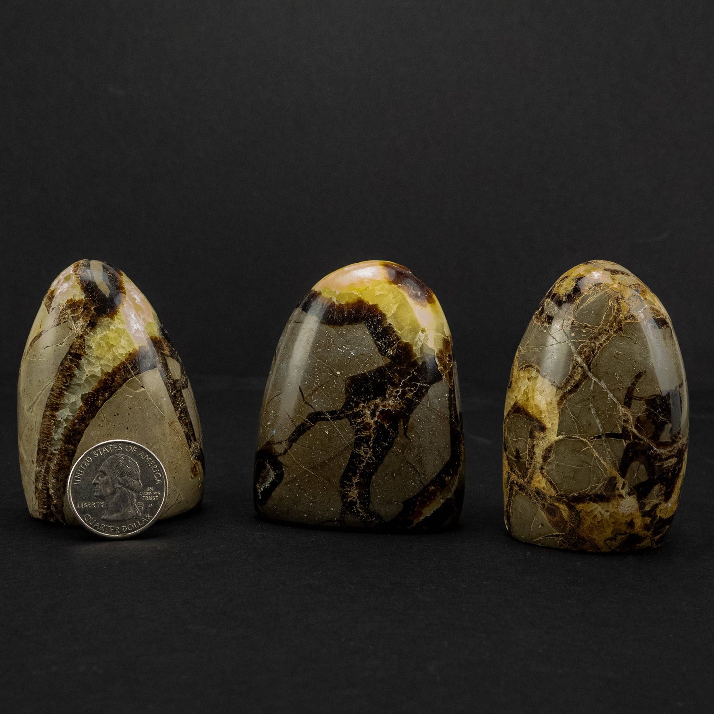 Septarian "Dragon Stone" Freeform