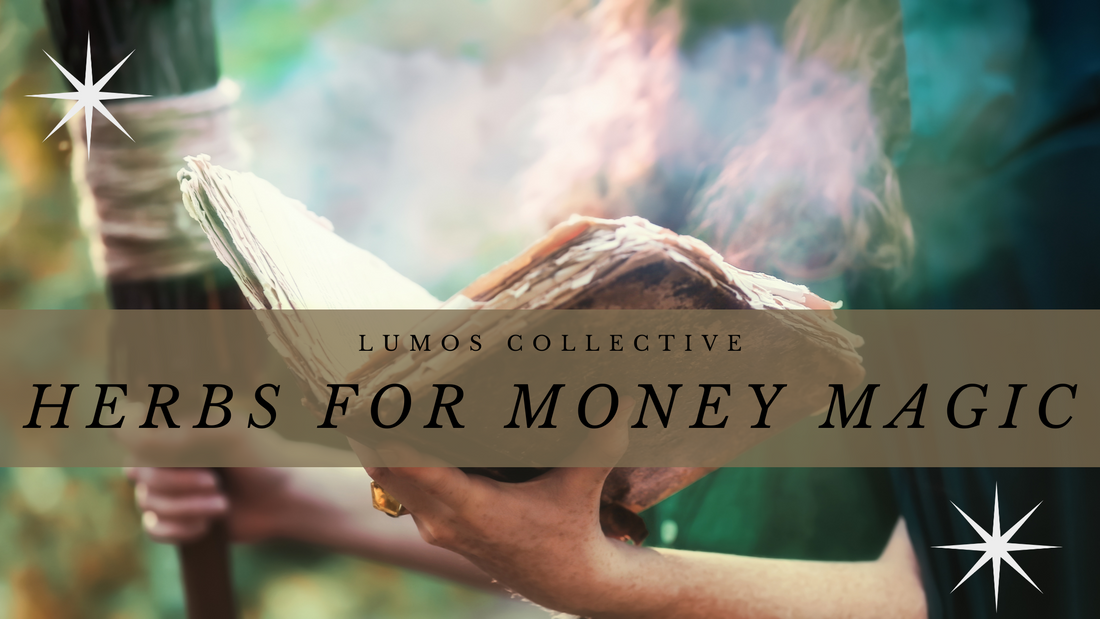 Herbs for Money Magic