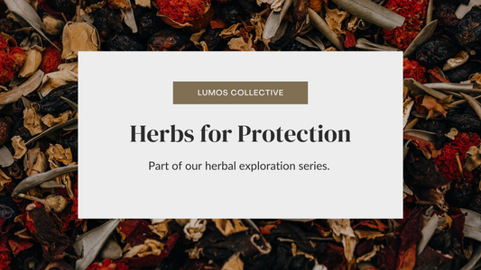 Herbs for Protection