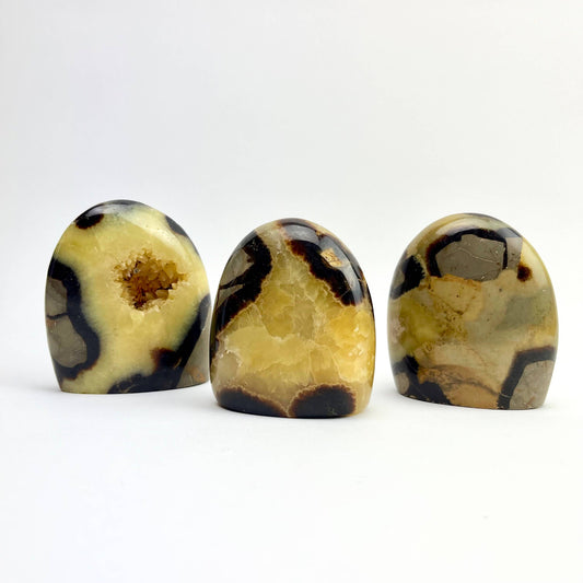Septarian "Dragon Stone"  Freeform