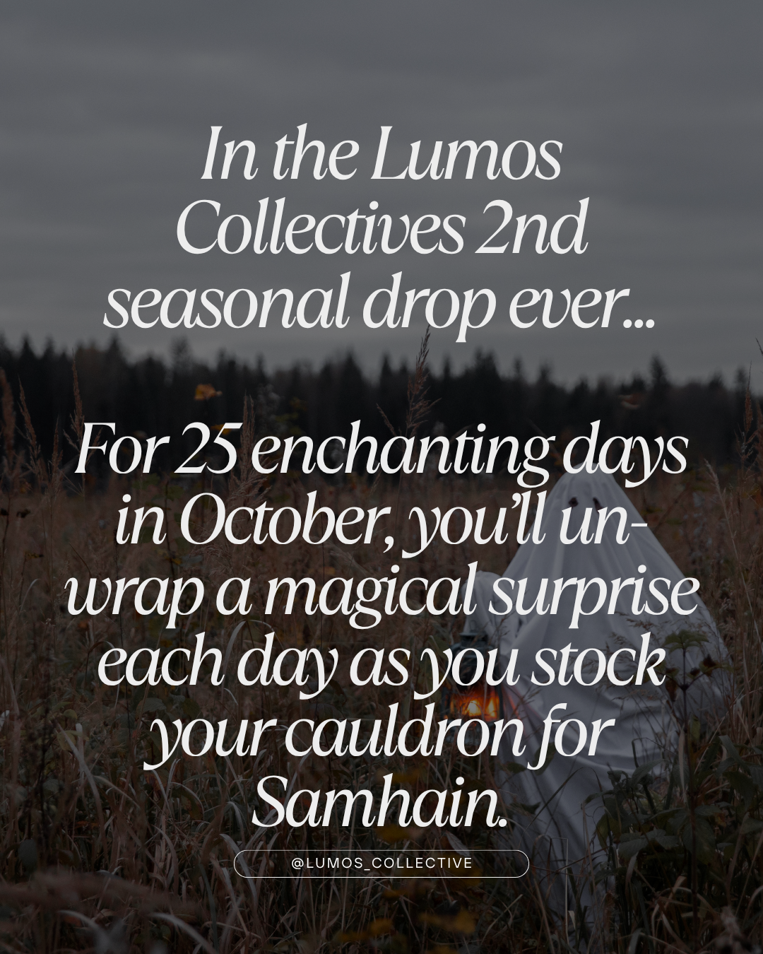 Stock Your Cauldron: 25 Days of Samhain Magic