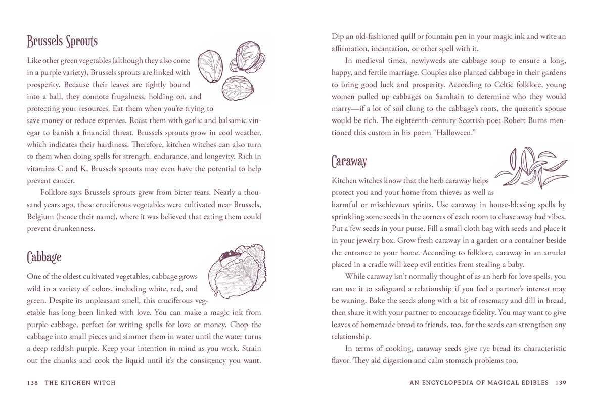 Kitchen Witch by Skye Alexander