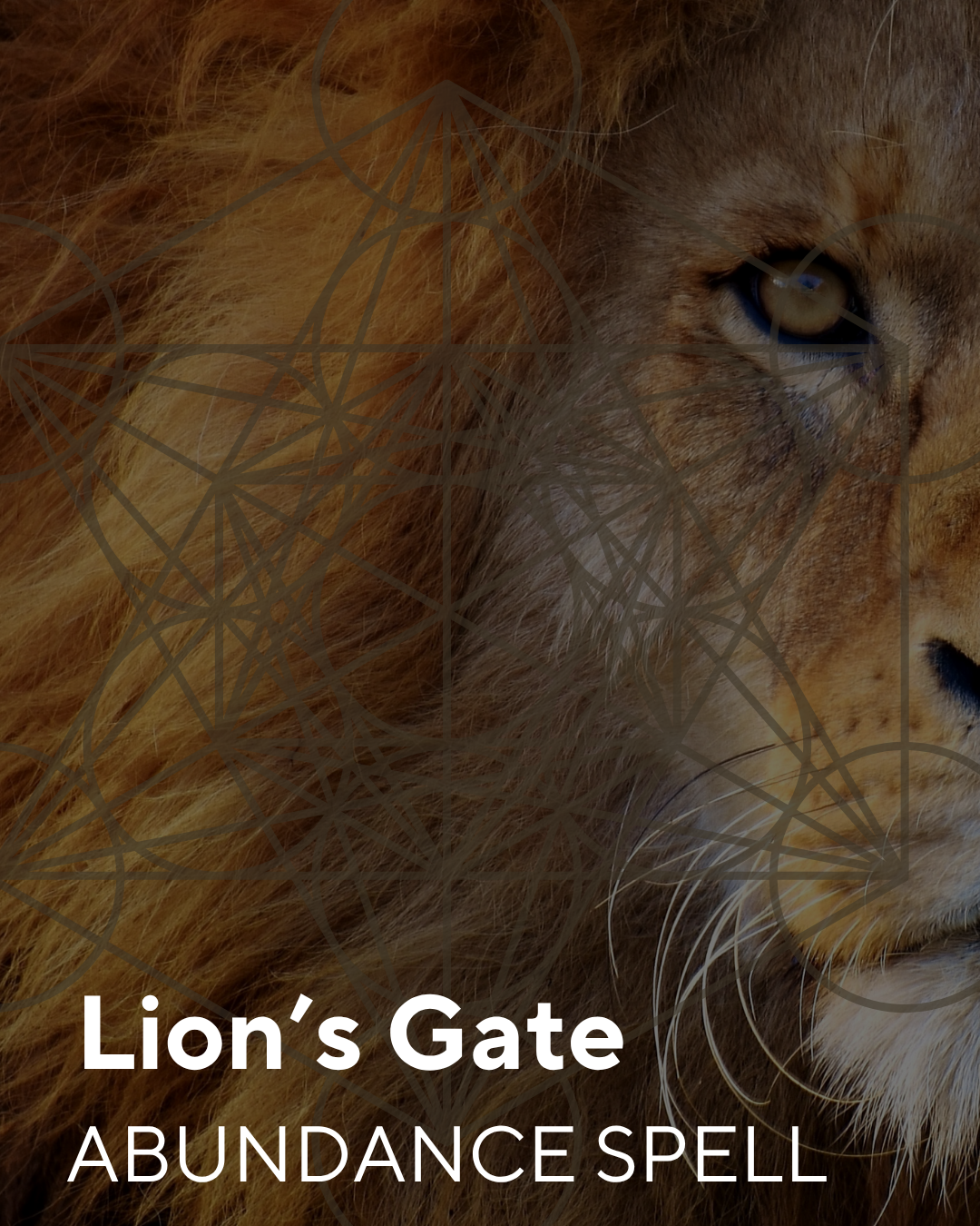 Lion's Gate Collective Abundance Ritual