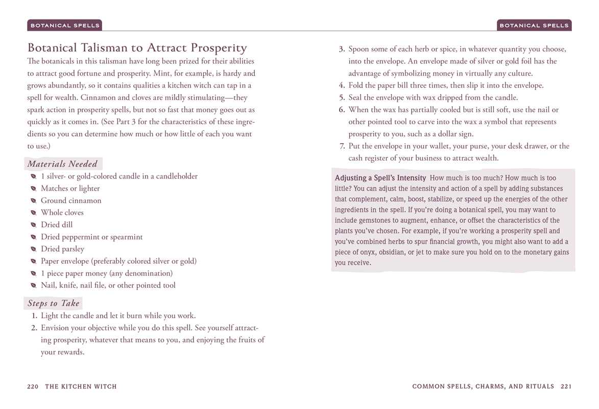 Kitchen Witch by Skye Alexander