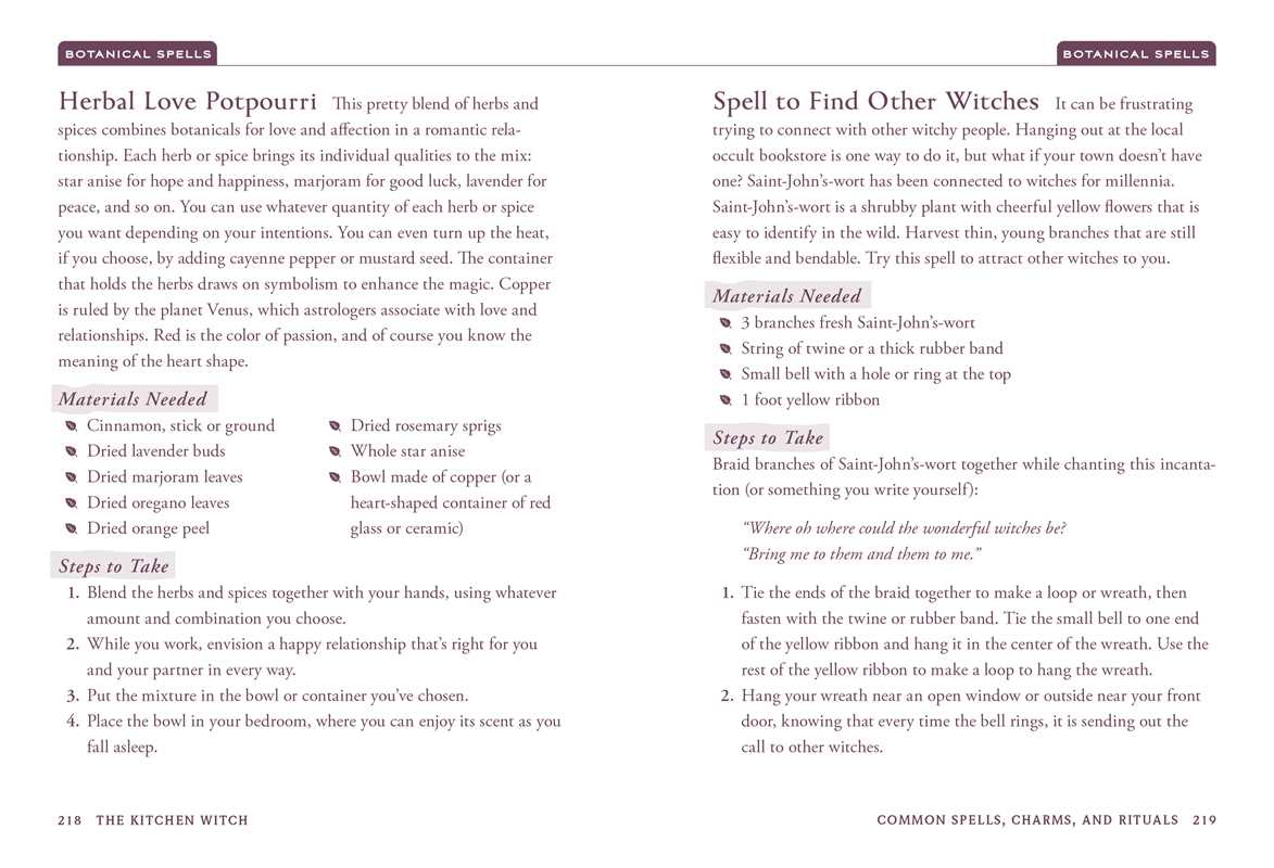 Kitchen Witch by Skye Alexander