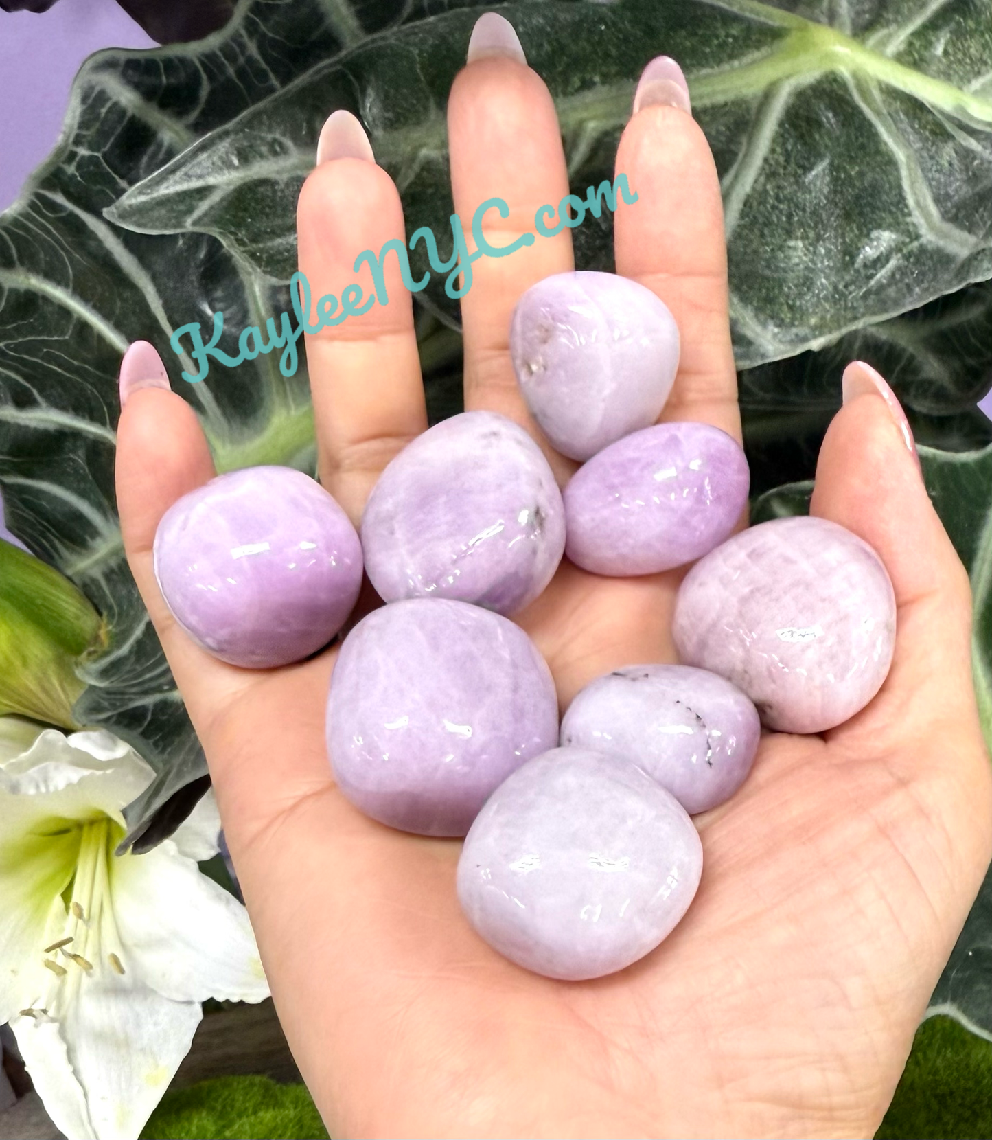 Wholesale Lot 1 Lb Natural Kunzite Tumble Healing Energy
