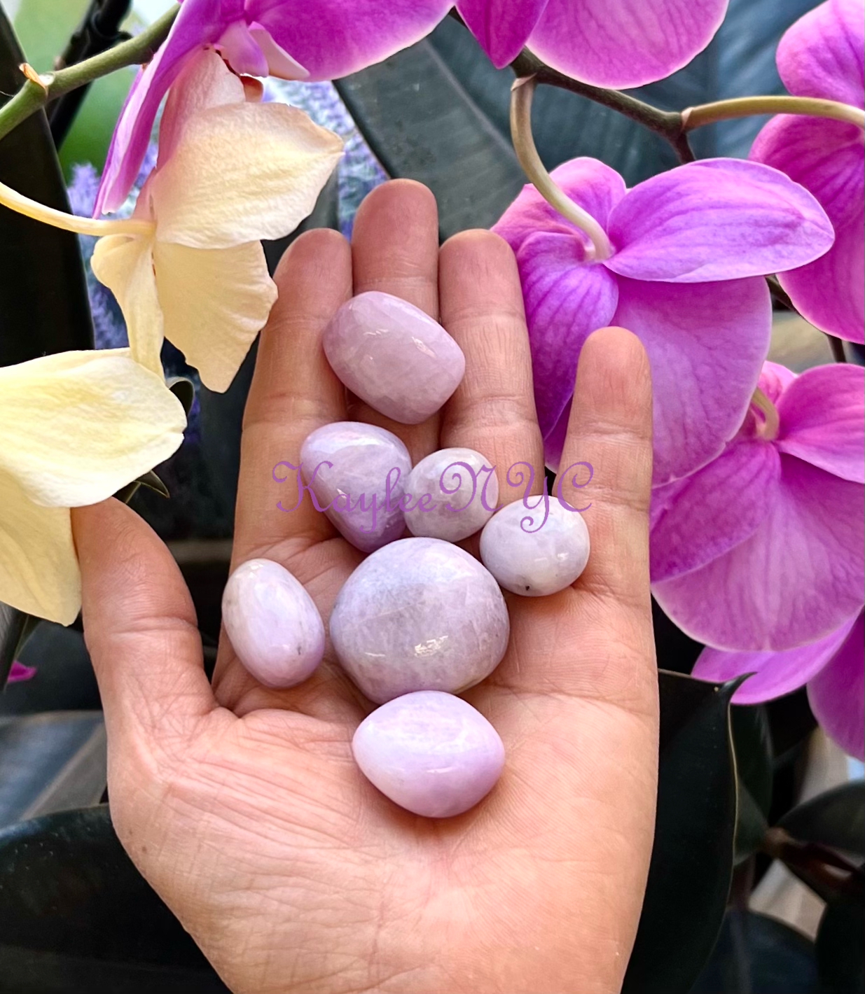 Wholesale Lot 1 Lb Natural Kunzite Tumble Healing Energy