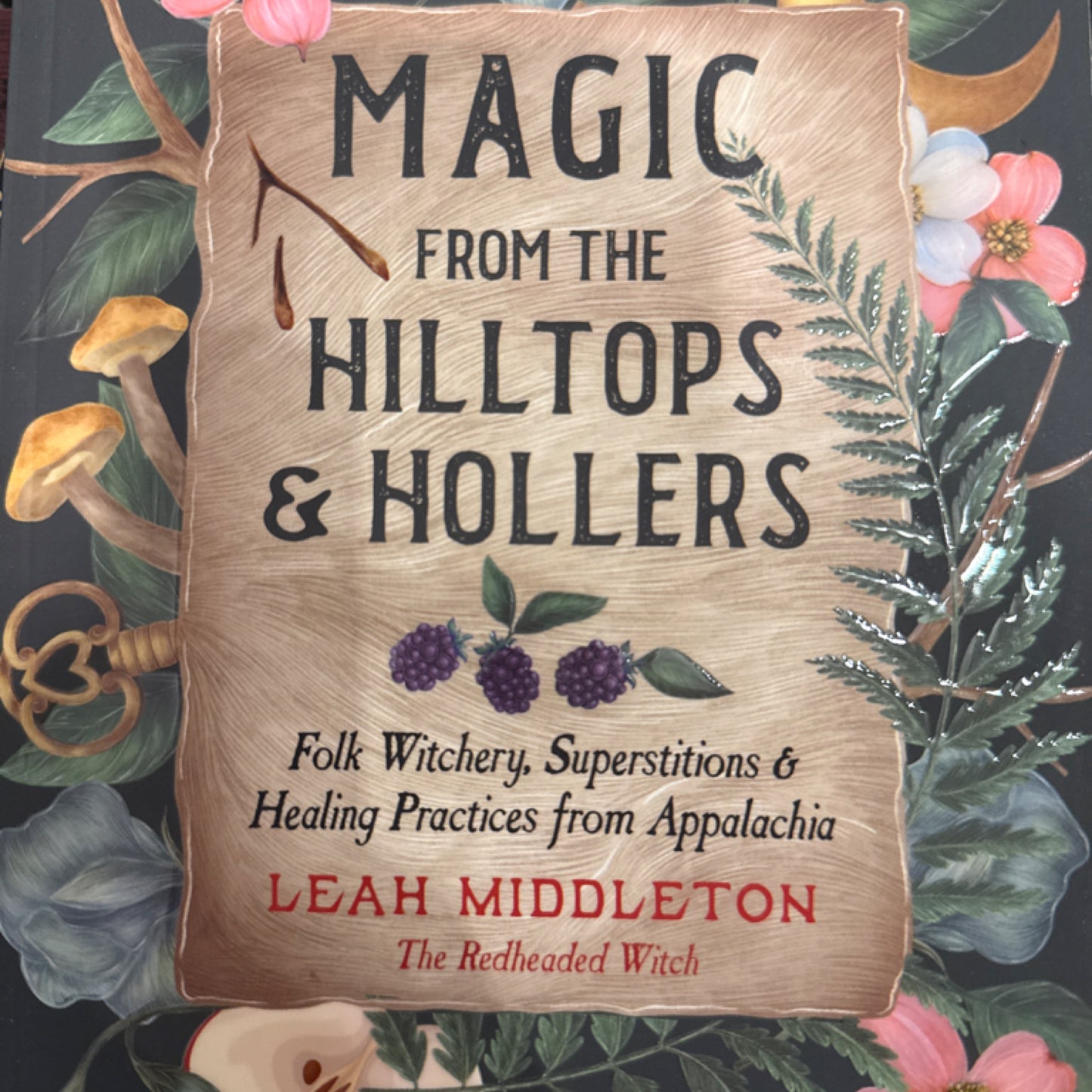 Magic from the Hilltops & Hollers