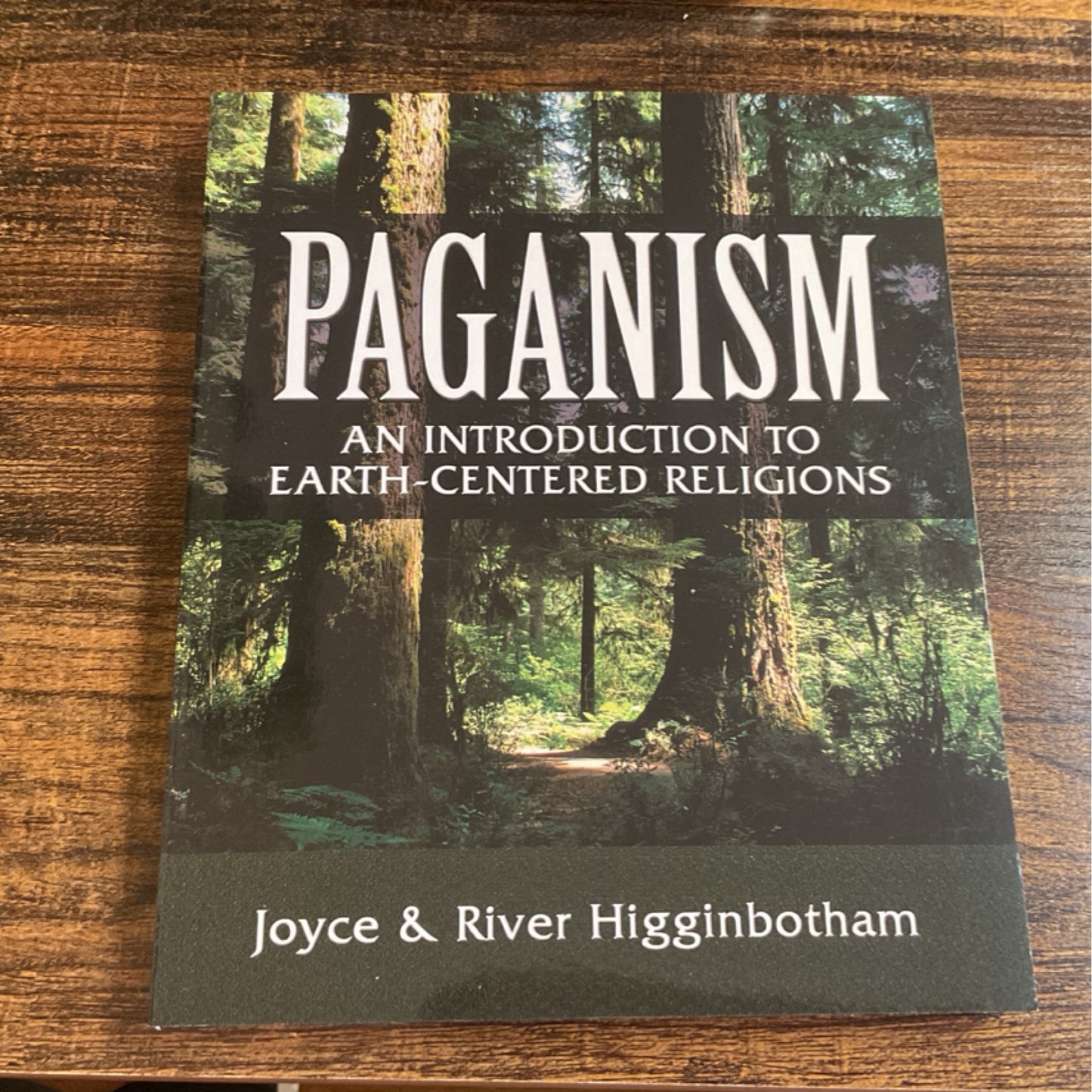 Paganism: An Introduction to Earth-Centered Religions
